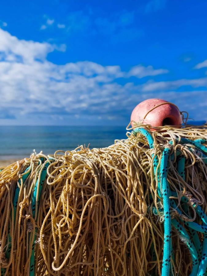 Appartamento La Coffa Agnone Cilento Eksteriør bilde